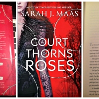 A Court of Thorns and Roses - Review